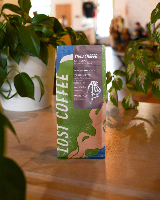 Discover the New Washed Ethiopia YirgZ from Mesfin Girma – Now at Lost Coffee!