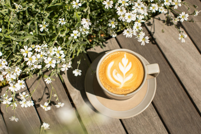 Lost Coffee